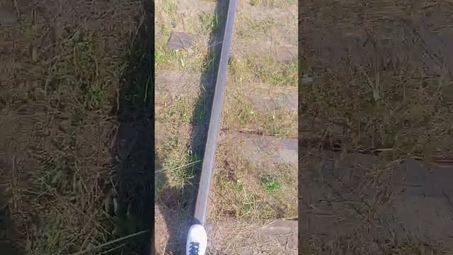 зачем солнце монако, когда рельса два однако... смотреть онлайн