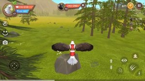 Маленький ПТЕНЧИК wildcraft #17 Симулятор ПИТОМЦА с Кидом. Новое яйцо. Рыси на канале Пурумчата