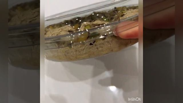 Мастерство и Стремление