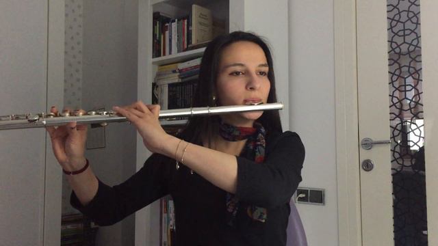 J.S Bach Siciliano from Flute Sonata in E Flat Major, BWV 1031 смотреть онлайн