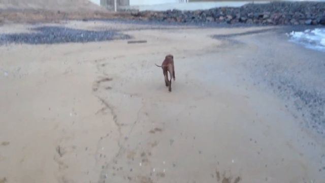 воспоминание о Куле смотреть онлайн