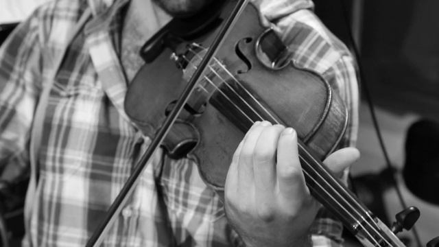 The string section from a song for Emilie Schattman смотреть онлайн