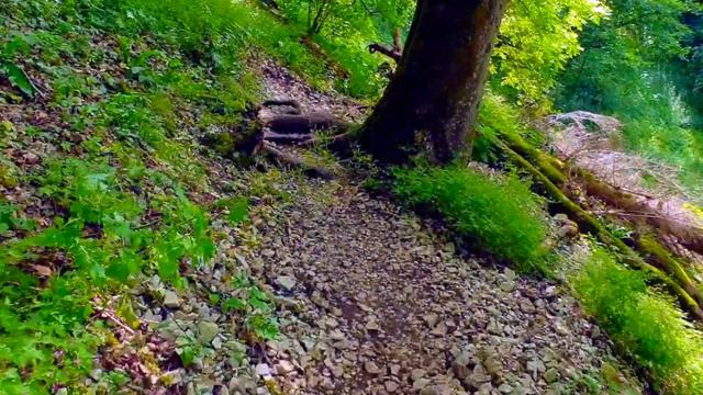 Приключения в Бад Урахе/ Водопады, руина, лес, старый город / Баден-Вюртемберг / Юг Германии смотреть онлайн