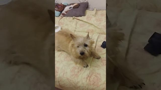 10 ноября 2019 г. смотреть онлайн