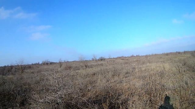 ОХОТА НА КУРОПАТОК В КРЫМУ 2019 ГОДУ смотреть онлайн