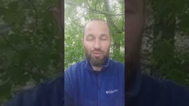 Что делать, если я в замешательстве! смотреть онлайн