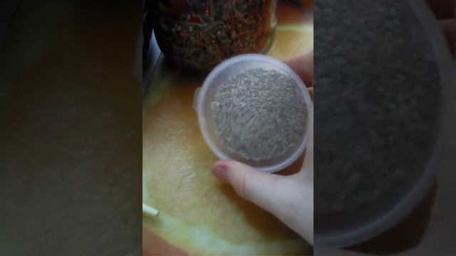 В чем хронить корм для волнистика смотреть онлайн