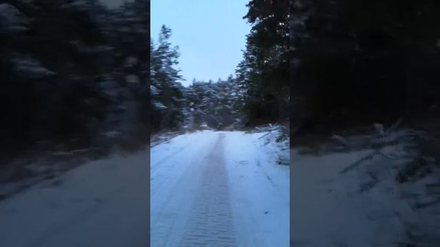 Хвалынск, прогулка по заповеднику. Трасса для снегоходов смотреть онлайн