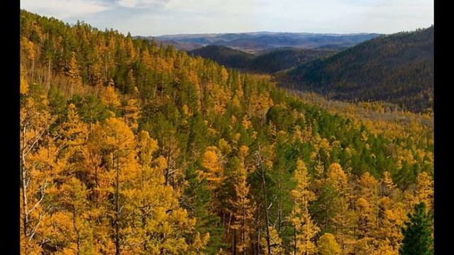 Национальный парк Алханай смотреть онлайн