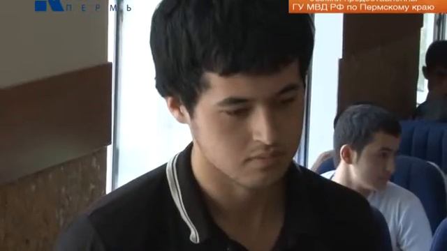 рейд по мигрантам смотреть онлайн