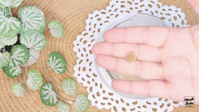 علاج التجاعيد الوجه والرقبة والجبهة والعينين وترهل الجفون | أقوى طرق في العالم смотреть онлайн