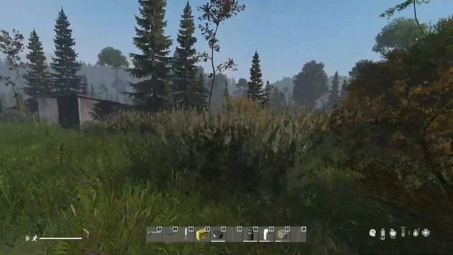 #7 | DAYZ PREDATORS | ХОРОШЕЕ ЗНАКОМСТВО | DAYZ С НУЛЯ смотреть онлайн
