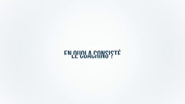 focus - Animal Diagnostic смотреть онлайн