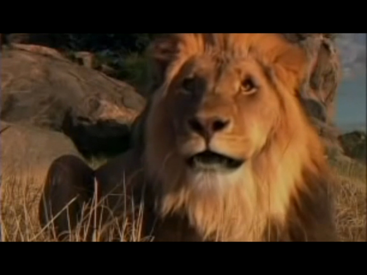 Львиная семейка (Pride) смотреть онлайн