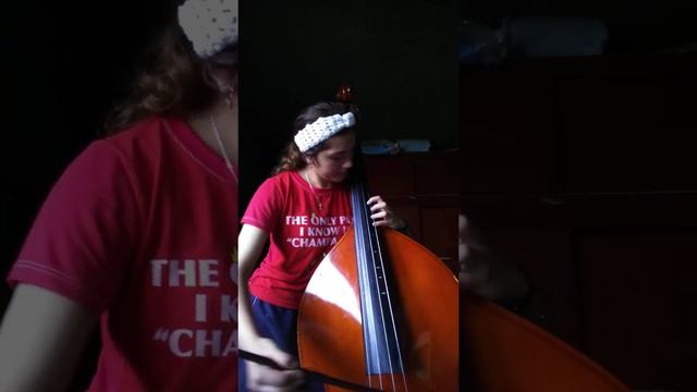 Extracto del primer movimiento del concierto no. 2 para contrabajo en Mi menor de K. Dittersdorf смотреть онлайн