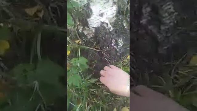 Не знаю как назвать | ЗАКЛАДКА™ смотреть онлайн