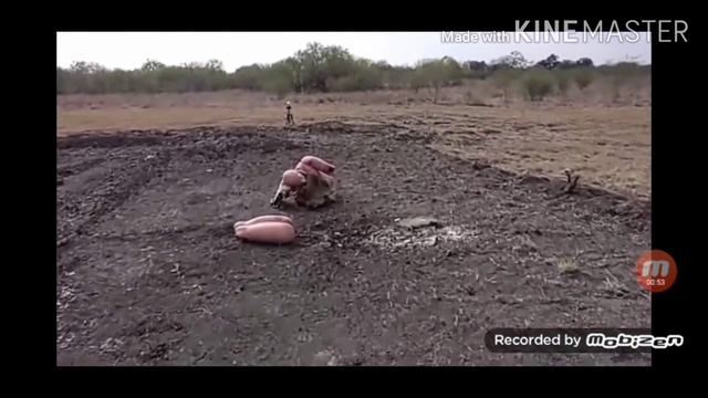 как бы поменялась игра если там сделали реальную гранату???? смотреть онлайн