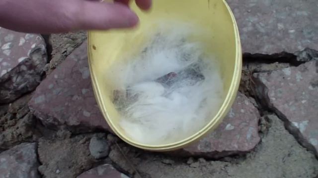 Крольчиха съела крольчат смотреть онлайн