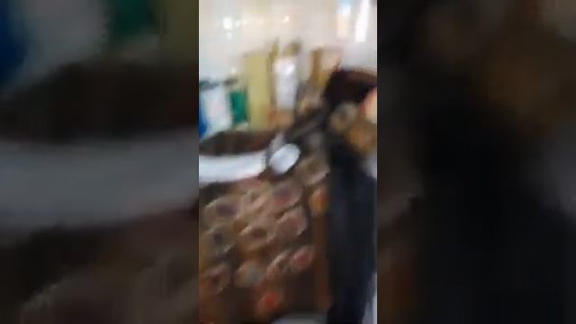 Powerful Real Snake Money Mallam смотреть онлайн