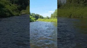 СПЛАВ на ЛОДКЕ по реке Обнора, ПОЙМАЛИ ЩУКУ НА 2 КГ!