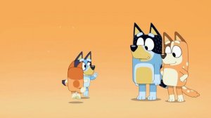 Bluey All Seasons Intros Theme Music Compilation