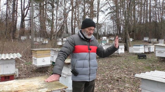 ПОДКОРМКА ПЧЁЛ МЕДОВОЙ СЫТОЙ.