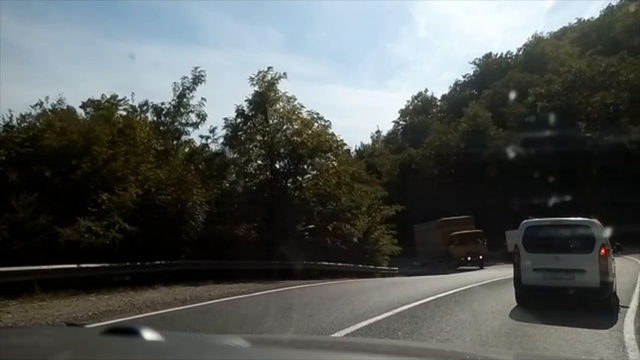 Бигль и бигль. Тренируем вестибулярный аппарат