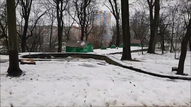 2963 Куда лезет Дед Мороз Кошка улица Ленина площадь каток ёлка парк фонтан пляж река Ока город Орё смотреть онлайн