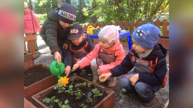 НАШ ЗЕЛЕНЫЙ ОГОРОД