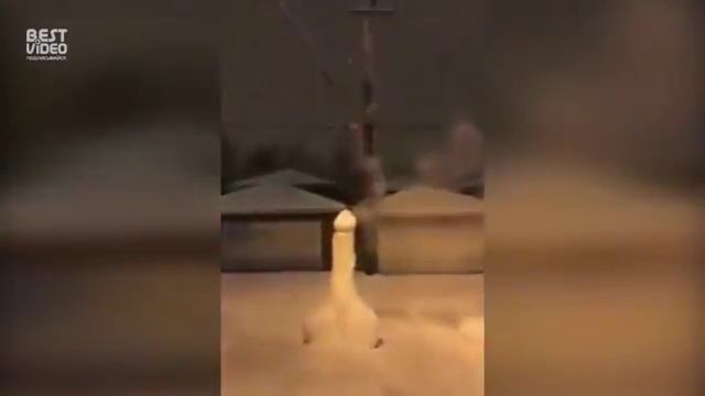 Лучший салют 2016 года смотреть онлайн