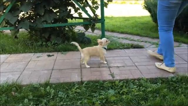 ОРЛАНДО БЛУМ 5,5 месяцев в продаже. смотреть онлайн