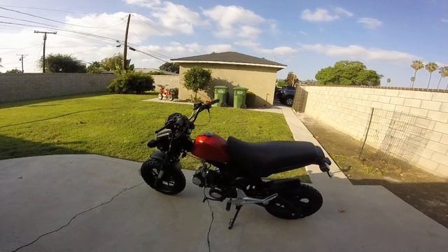 Taotao Hellcat 125 dual sport(Honda Grom clone) смотреть онлайн