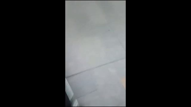 Funny trolley race, Toulouse airport, France. смотреть онлайн