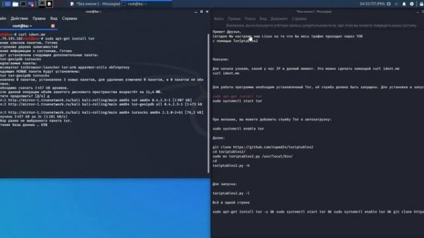 Пускаем весь трафик Kali Linux через TOR или пользуемся скриптом TorIptables2