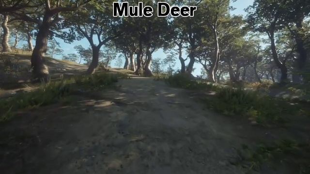 Parque Fernando Tips!!! theHunter: Call of the Wild смотреть онлайн