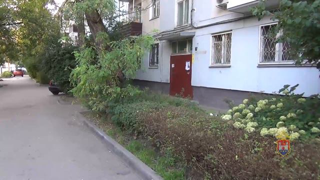 В Калининграде молодой человек ограбил почтальона, разносившую пенсии смотреть онлайн