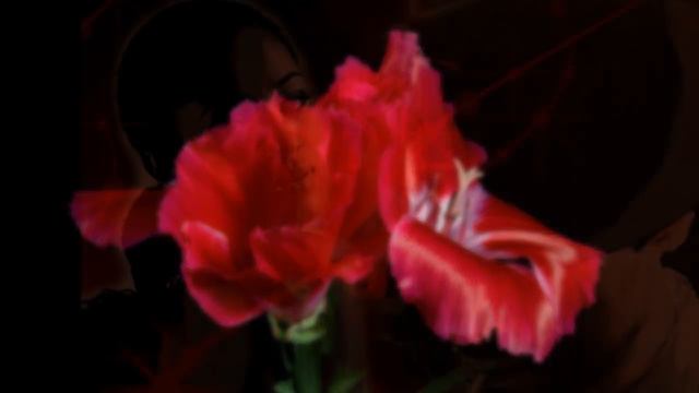 Gilla - Johnny.wmv смотреть онлайн