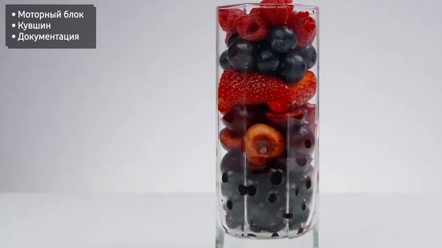 Блендер Garlyn V-1000