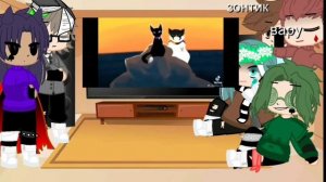 рякцыя 13 карт на котов воителей очень короткое