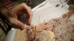 ASMP Живой процесс вышивки крестом.
