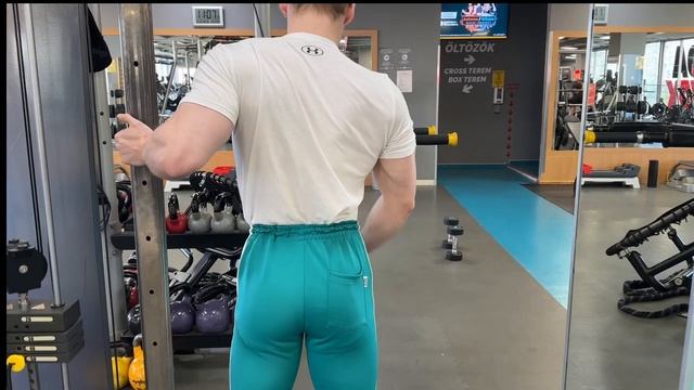 Arms Workout In The Gym And Flexing