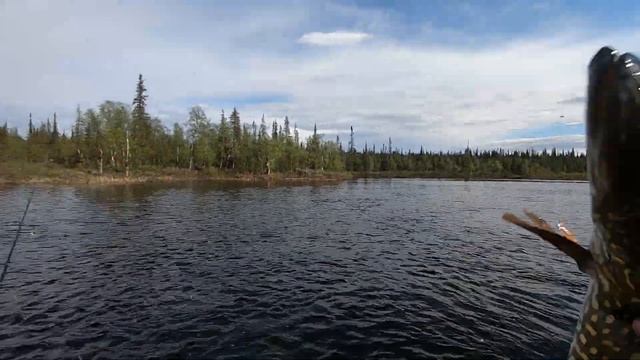 Мурманск - Рыбалка (4) Путешествие по лесной реке. ТРОФЕЙНАЯ ЩУКА НА УЛЬТРАЛАЙТ смотреть онлайн