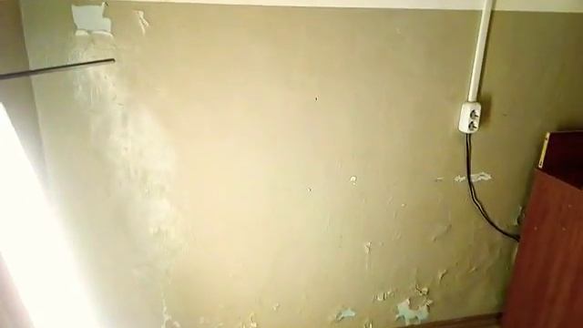 Столярная мастерская на 8 кв.м. смотреть онлайн