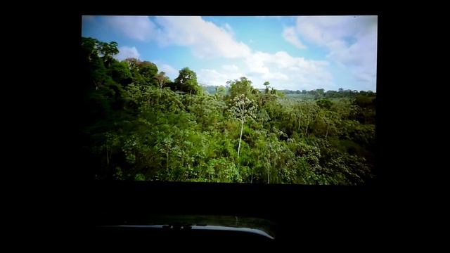 Обзор недорогого Full HD DLP-проектора BenQ W1050 для домашнего кинотеатра смотреть онлайн