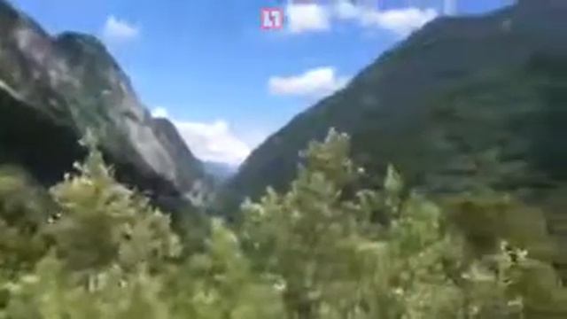 Чау - панда в Сочи смотреть онлайн