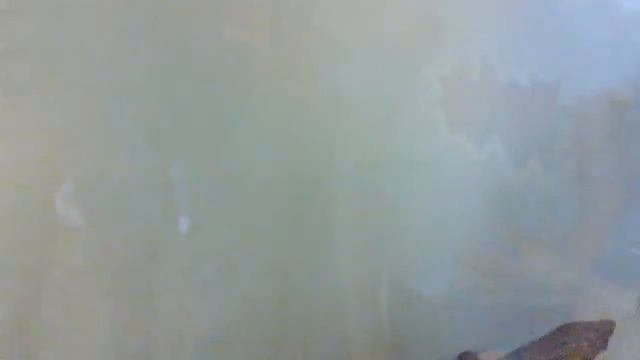 Санкт-Петербург Кунсткамера смотреть онлайн