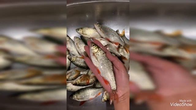База отдыха Астаховская Долина. Наши гости на осенней рыбалке смотреть онлайн