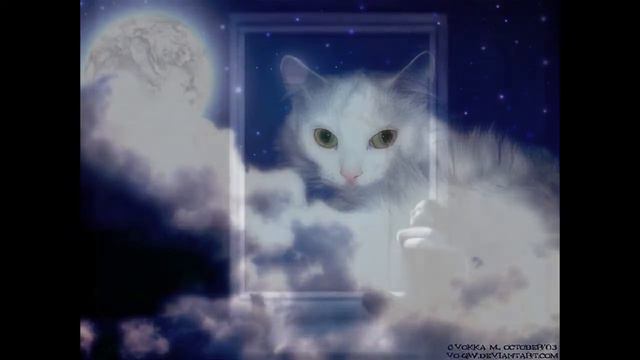 Песни Юлия Буркина. Кошка смотреть онлайн