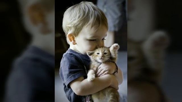 КОТЫ И ДЕТИ/ПОДБОРКА смотреть онлайн