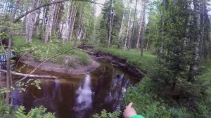 Да сколько же тут форели в этом ручье!? Бешеный клёв форели на воблера.  Ловля форели в микро ручье